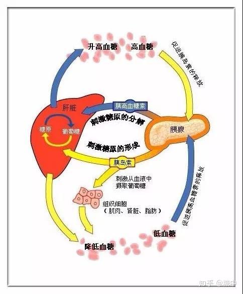 华北制药提交WA1-089片临床申请为1类血液系统药物(图1)